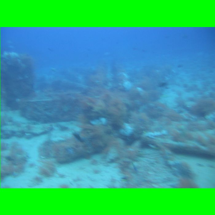 Dive WP Wrecks 25-Oct-09_394.JPG